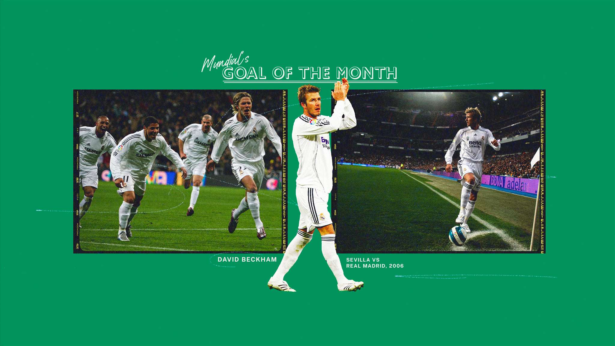 多灵活性 多灵活性