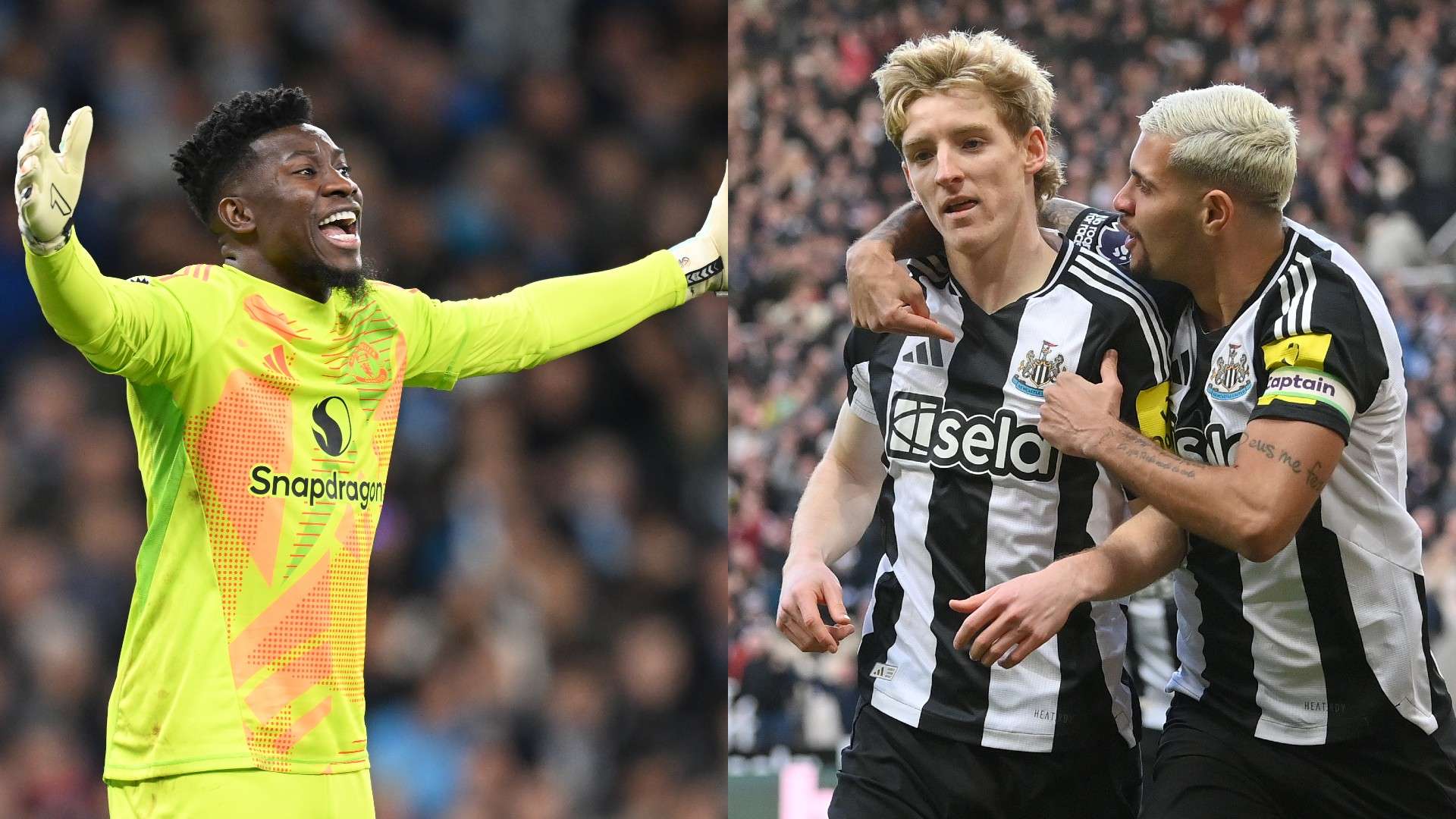 都将为这项 都将为这项